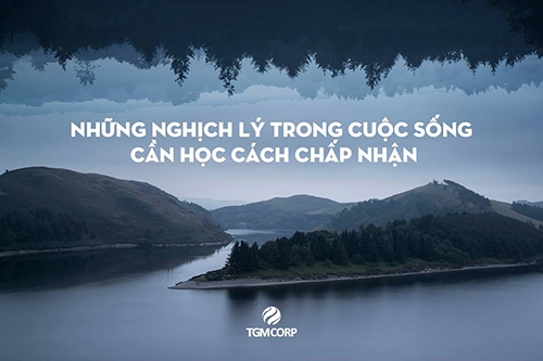 hạt giống tâm hồn